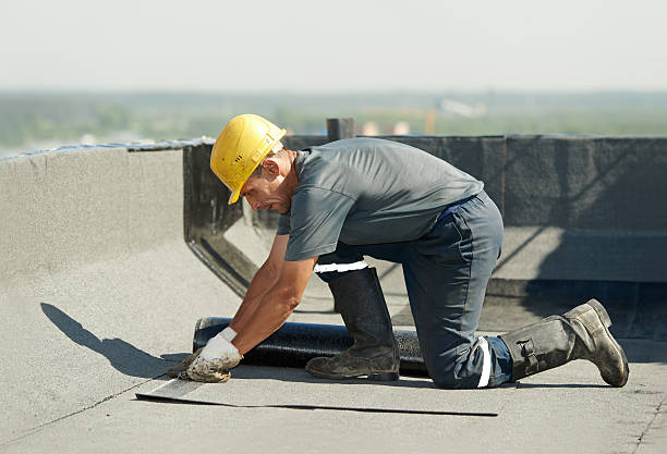 Best Geographic-Specific Insulation Services in Vineyard Haven, MA